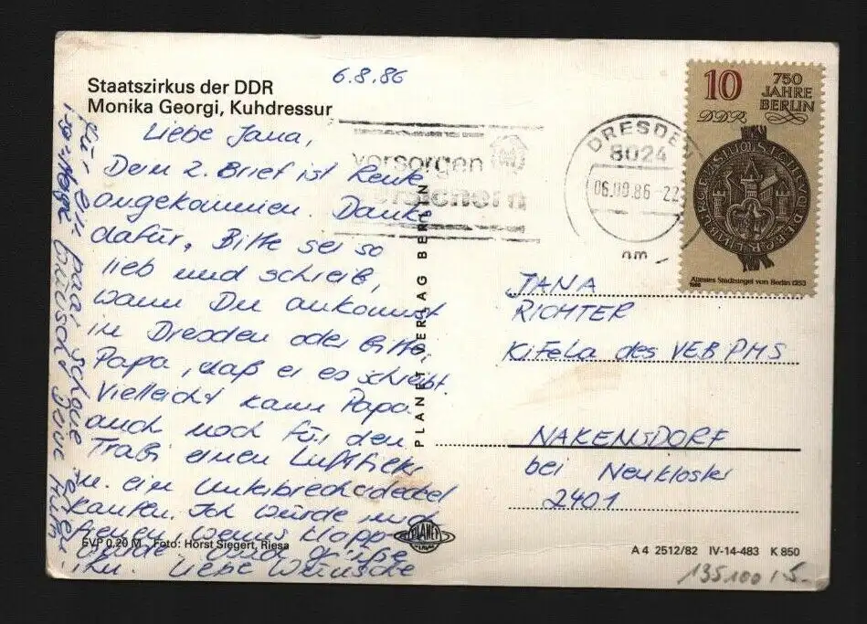 135100 AK Staatszirkus der DDR Monika Georgi Kuhdressur 1982 (1986)