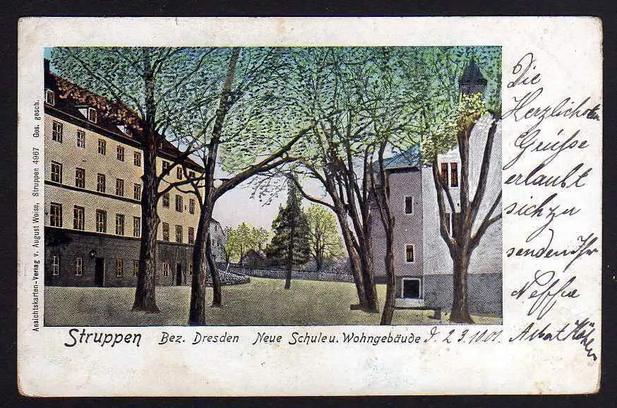 74904 AK Struppen Bez. Dresden Neue Schule Wohngebäude 1901
