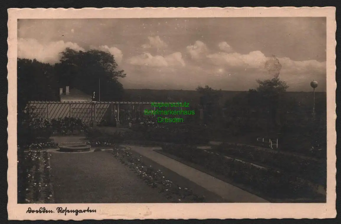 150462 AK Fotokarte Dresden Rosengarten 1951