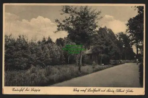 150267 AK Naunhof bei Leipzig 1941 Weg nach Lindhardt mit König Albert Hütte