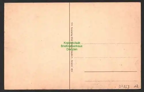 37253 AK Dresden Weisser Hirsch Bautzner Strasse um 1910