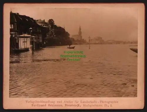 146724 AK Dresden Original Foto 1890 auf Hartpappe Hochwasser Angang September