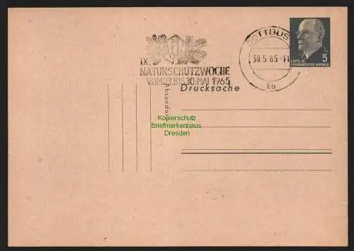 B11003 Postkarte DDR Ganzsache 5 Pfg. Ulbricht Werbestempel Naturschutzwoche