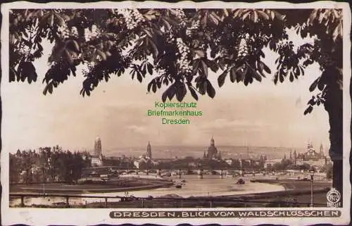 154706 AK Dresden 1936 Hahn Foto 7922 Blick vom Waldschlösschen