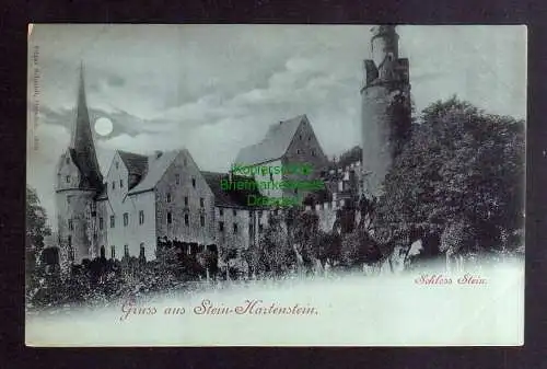 131964 AK Stein Hartenstein Schloss Stein Mondscheinkarte um 1900