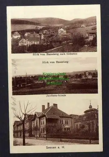 132138 AK Seesen a. Harz Jacobsen Schule Blick vom Hasselberg um 1925