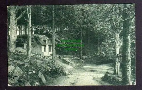 130807 AK Schneeberg-Neustädtel 1913 Waldhaus Buchenwald