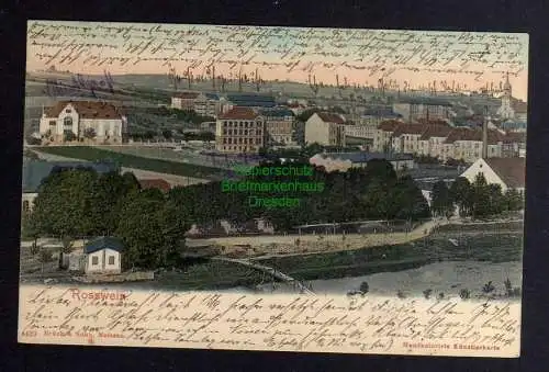 130825 AK Rosswein Panorama 1905 Verlag Brück & Sohn 4429