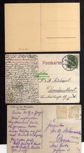 124985 3 AK Chemnitz Waldschänke im Zeissigwalde 1906 Pelzmühle Siegmar