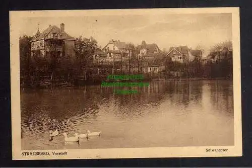123441 AK Strausberg Vorstadt Villen am See Schwanensee 1928