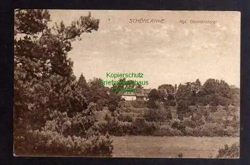 123671 AK Schönlanke Kgl. Oberförsterei 1920