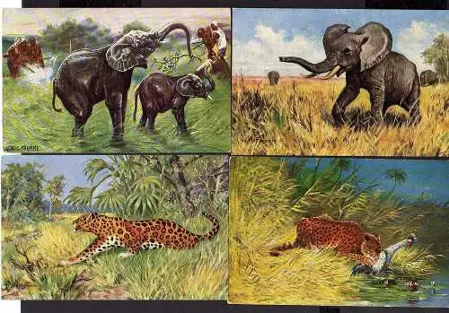 109330 17 AK Tiere Afrika Elefant Kamel Nashorn Leopard Künstler Ad. Hoffmann Lu