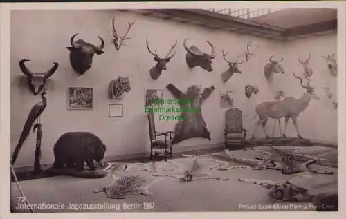 158628 AK Berlin 1937 Internationale Jagdausstellung Trophähen