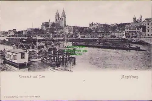 158810 AK Magdeburg um 1905 Strombad und Dom