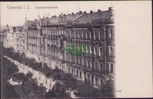 158624 AK Chemnitz Kastanienstraße 1905