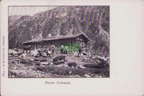 153957 AK Neveser Ochsenalp um 1910