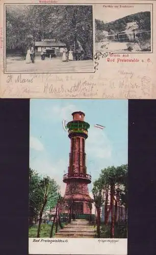 153887 2 AK Bad Freienwalde a. O. Kriegerdenkmal Aussichtsturm Waldschänke 1901