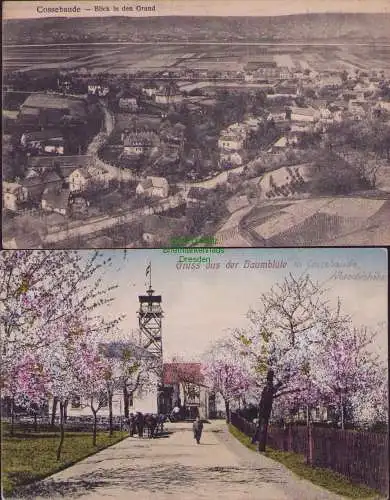 153721 2 AK Gruss aus der Baumblüte in Cossebaude Blick in den Grund 1925 1918