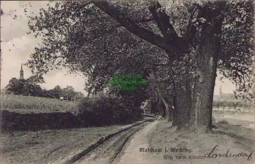 153526 AK Malchow i. Mecklbg. 1915 Weg zum Kloster