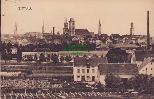 153629 AK Zittau 1916 Panorama Gärtnerei