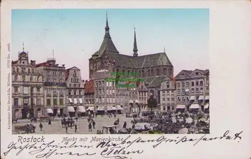 153539 AK Rostock Markt mit Marienkirche 1905