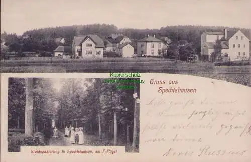 153616 AK Waldspazierweg in Spechtshausen am F-Flügel um 1910