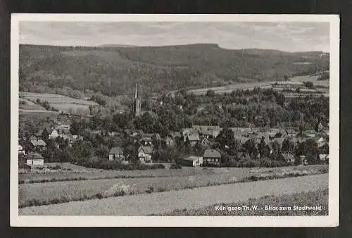20338 AK Königsee Thür. Blick zum Stadtwald 1957