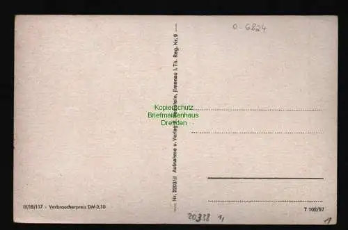 20338 AK Königsee Thür. Blick zum Stadtwald 1957