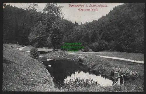 149488 AK Vessertal bei Schmiedefeld Thür. Wald Ilmenau 1913