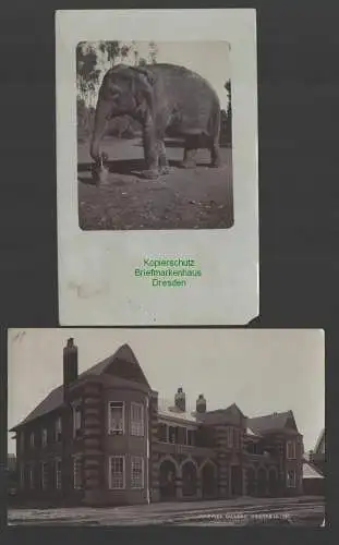 145827 2 AK Pretoria Südafika Normal College 1910 Elefant mit Eimer Fotokarte