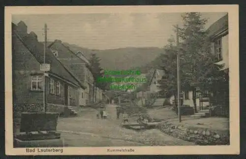 139637 AK Bad Lauterberg im Harz Kummelstraße 1922