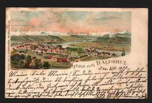 138088 AK Waldshut Litho Panorama 1902