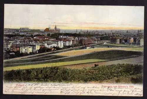 87479 AK Erfurt 1905 Panorama von Stürckes Villa