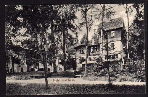 75205 AK Bad Waldheim Harz Elbingerode 1913 Hotel Waldhaus