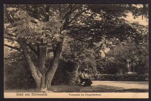 66128 AK Eberswalde Promenade am Kriegerdenkmal 1911