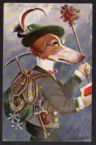 84254 AK Künstlerkarte Humoristische Hunde vermenschlicht 1912 Schröder