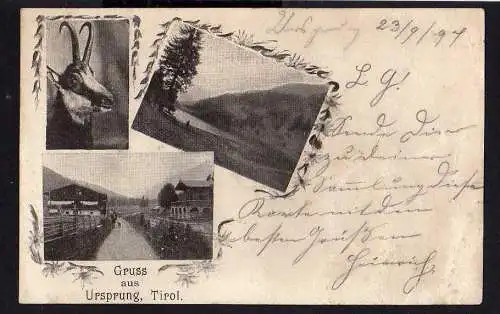 83364 AK Ursprung Tirol  1897 Gemse