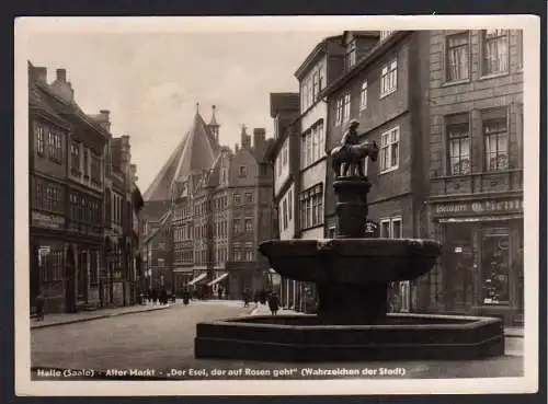 71823 AK Halle Saale Alter Markt Der Esel, der auf Rosen geht