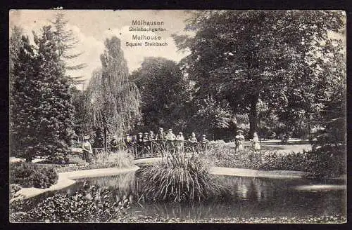 72098 AK Mülhausen Elsass 1909 Steinbachgarten Mulhouse