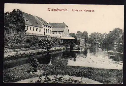 61661 AK Bischofswerda Partie am Mühlteich 1909