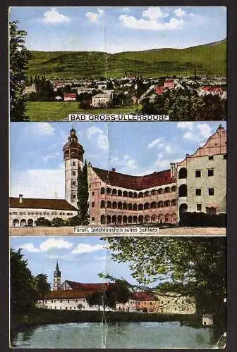 51791 AK Velké Losiny Bad Großullersdorf Schloss um 1920