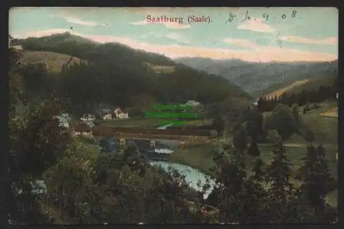 151339 AK Saalburg Saale 1908