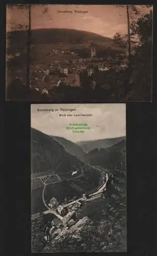 150980 2 AK Sonneberg Thüringen Blick vom Lauschenstein 1908 Panorama 1918
