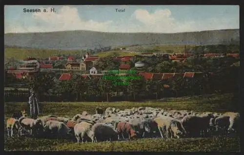 150981 Ansichtskarte Seesen a. Harz Totale Schäfer Schafe 1919