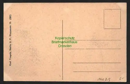 140319 AK zerstörte Brücke über die Morava bei Praskovze Pontonbrücke um 1917