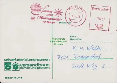 B15116 DDR 2x Postkarte Freistempel 1979 1981 VEB Erfurter Blumensamen Versand