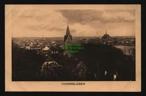 134413 AK Haderslev Hadersleben Panorama um 1920