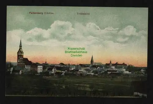 132900 Ansichtskarte Niemodlin Falkenberg O.S. Totale um 1910