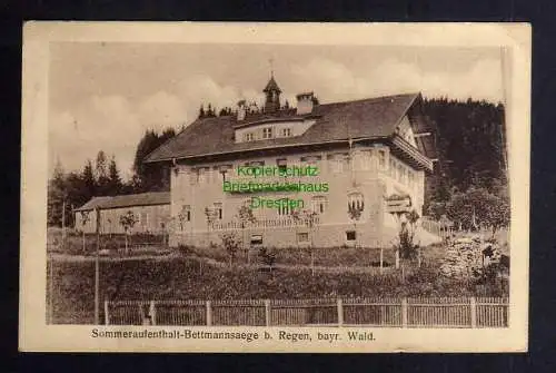 131097 AK Bettmannsäge bei Regen bayr. Wald Sommeraufenthalt 1919