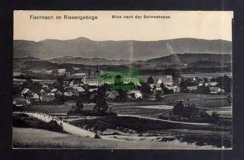 127423 Ansichtskarte Fischbach im Riesengebirge  um 1920 Blick nach der Schneekoppe